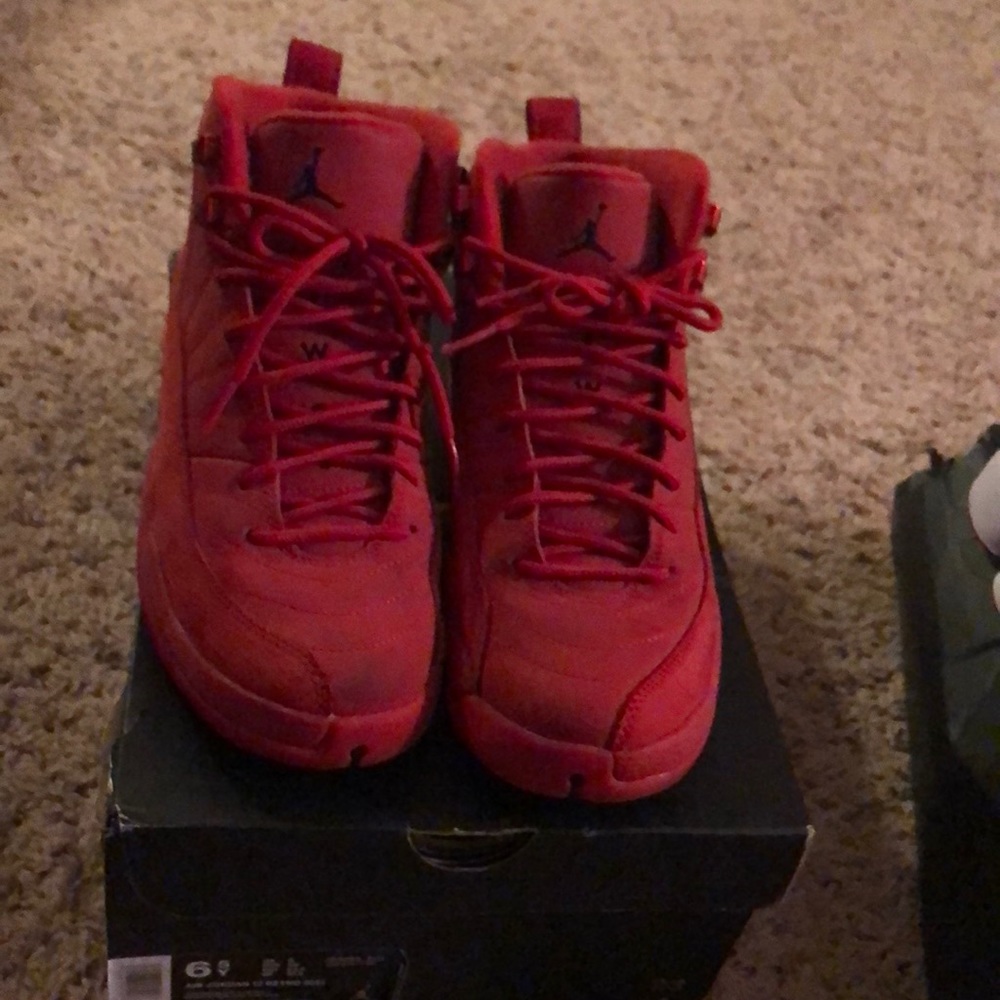 Air Jordan 12 Retro GS